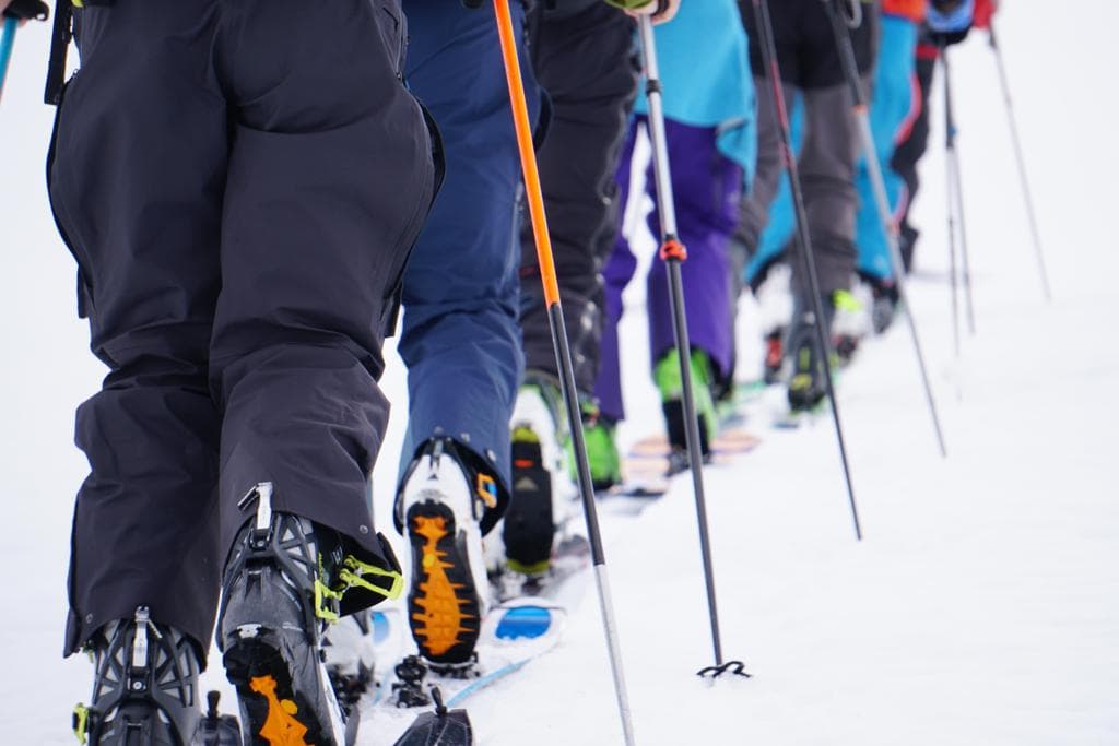 Curso Esquí de Montaña Nivel 1 31/01/25-01/02/25